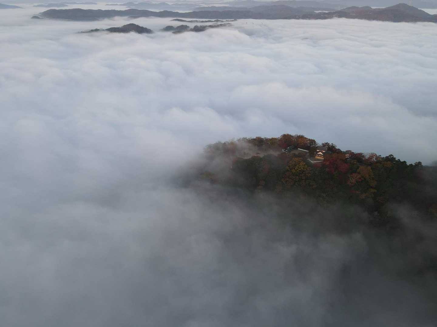 臥牛山 往復コースの写真