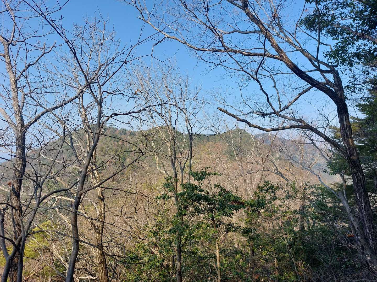 登りで振り返ると白山～天王山⛰️