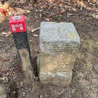 三角点あります