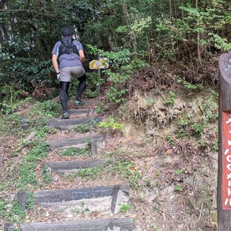 ここはコースじゃない☝️間違えた😂
コースじゃないところ登ったら
クモの巣に引っかかった😂
大きな蜘蛛に遭遇するし😭
虫が何よりも苦手で
蜘蛛はとにかく大っ嫌いな私は、
『もーー😭やだぁ～大きな蜘蛛がいる〜（泣）
蜘蛛ついてない？😭』

ギャーギャー💦わぁーわぁー！
💦パニックに陥って心折れた😭