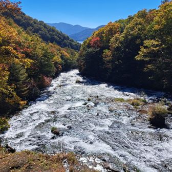 素晴らしい壮大な流れです。