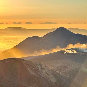 ﾋｬｰ
輝いてます