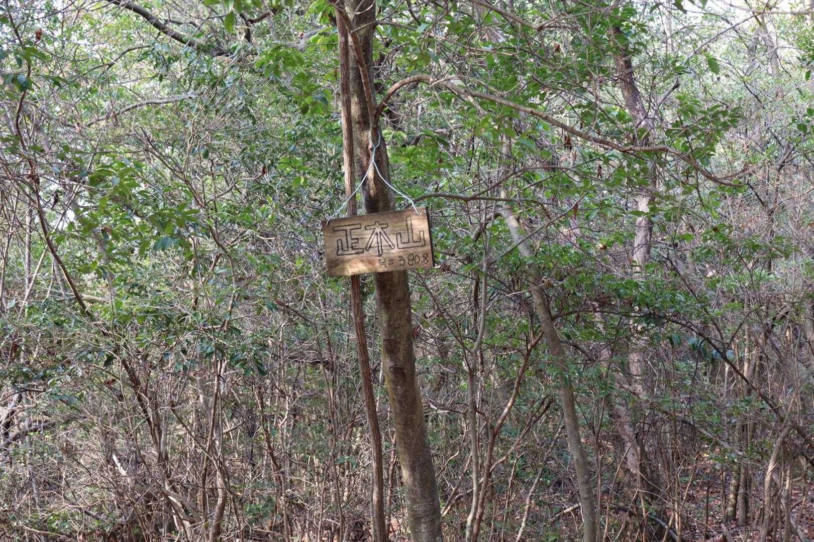 城山・正木山 往復コースの写真
