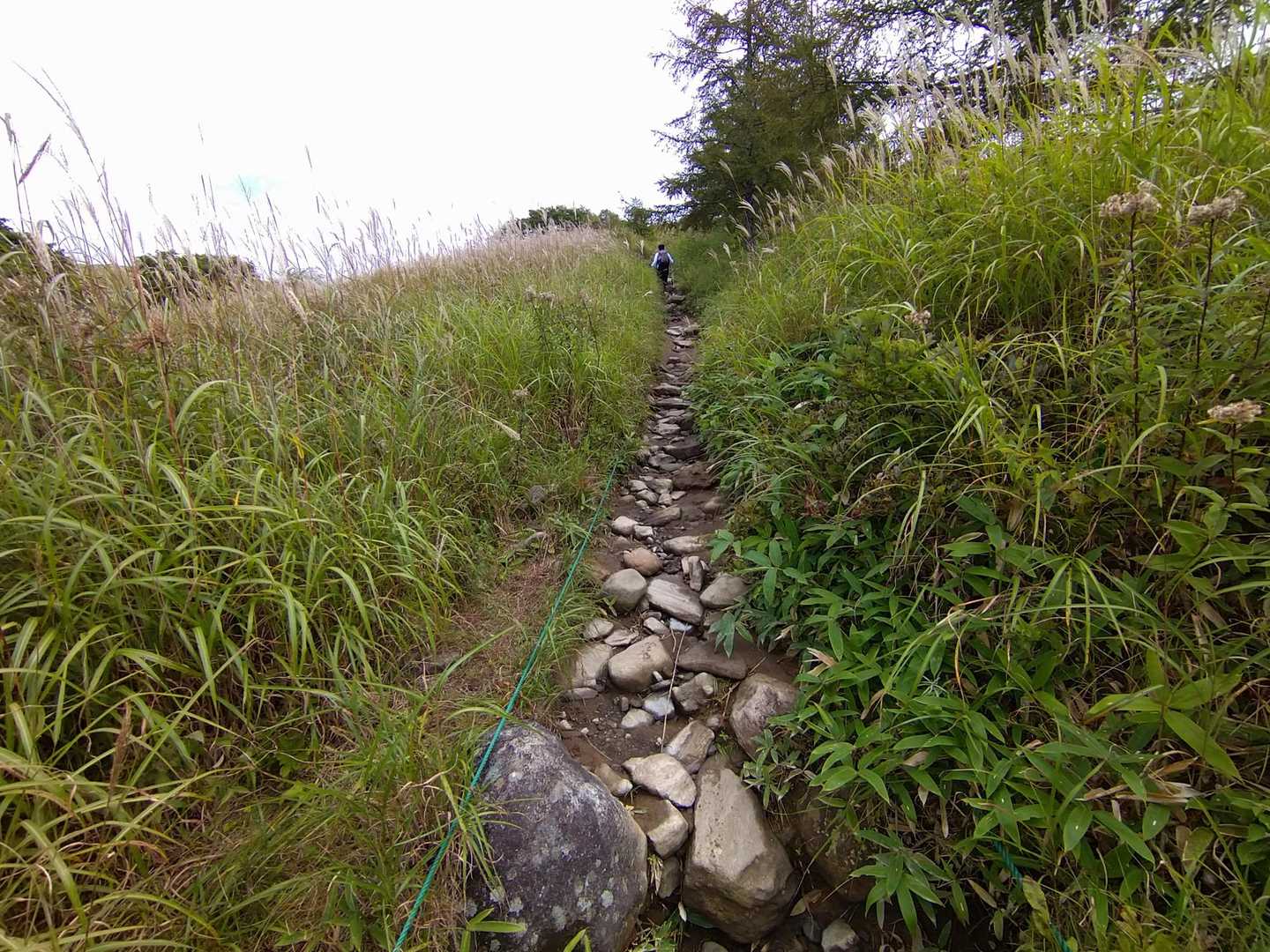 まだまだ続く滑る道。
けっこう登っててキツい😖