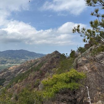 あの上まで帰ります