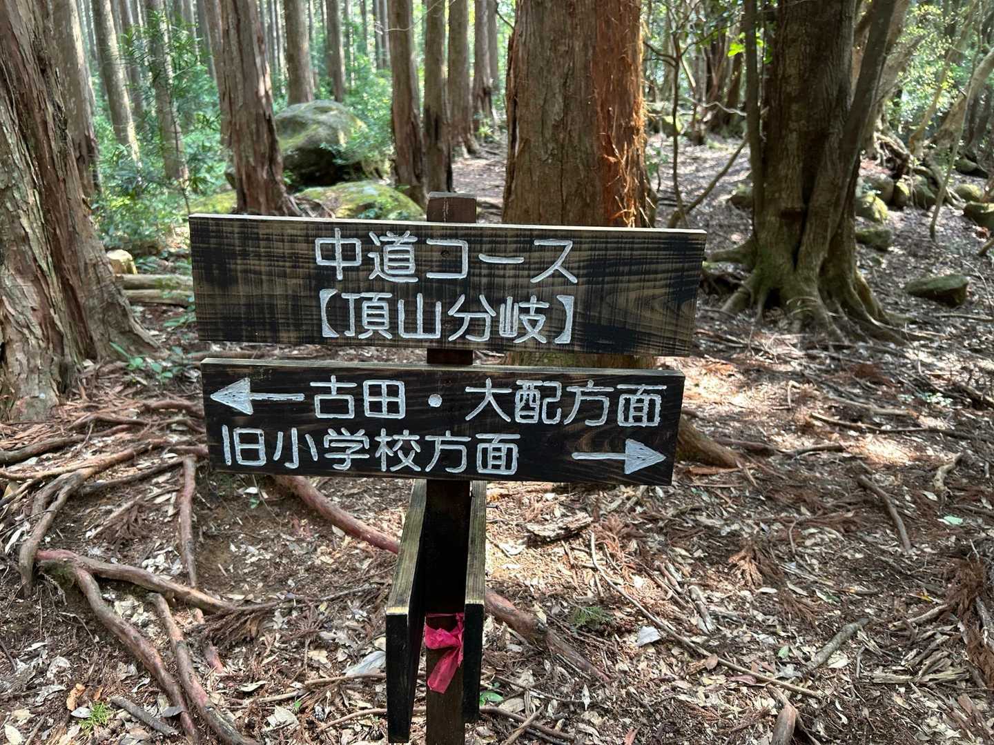 大配左なのに、下の矢印をなぜか見てしまい、右へ行ってしまいました😅
理解力のなさに辟易します😑