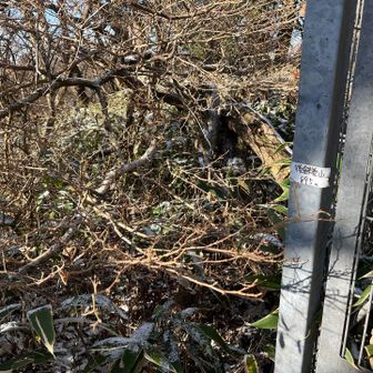 後鉢巻山踏破。何かの貯蔵庫のフェンスに山名が。