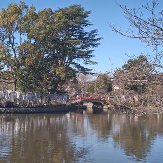 キレイだな〜
この池をたくさんの人が見てた…

鳩さんがいたから、おやつタイムはお預け〜💦