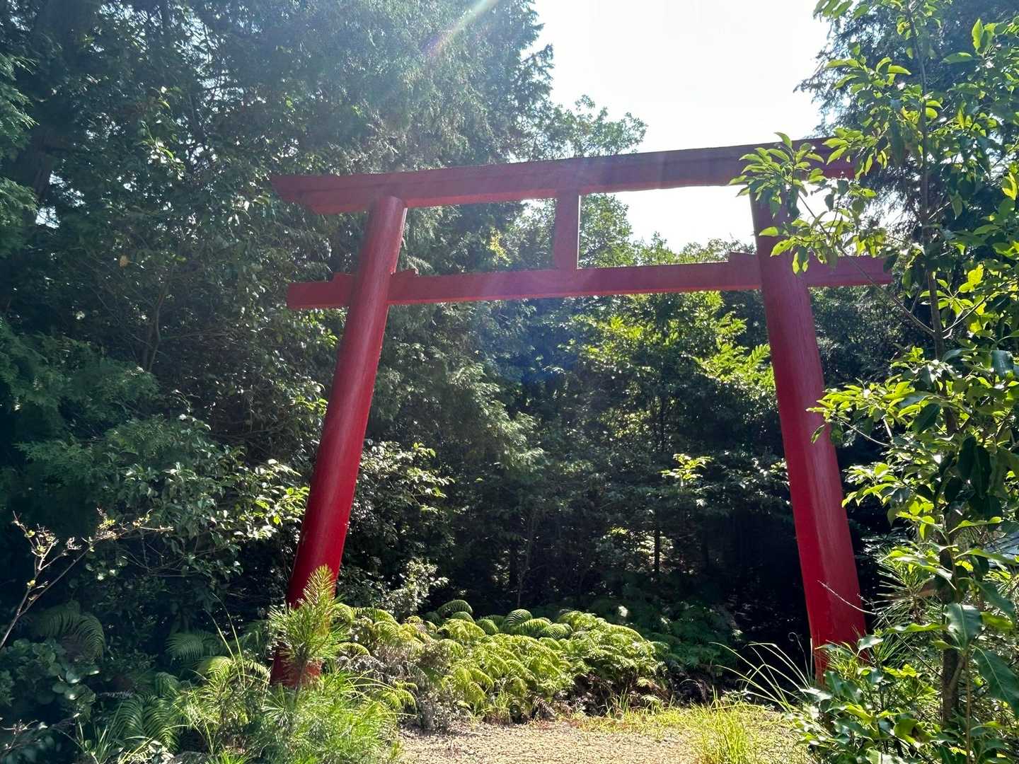 赤い鳥居⛩️