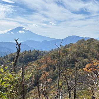 手前に加入道山、その向こうに御正体山から石割山の稜線、左に富士山。右奥に南アルプスも