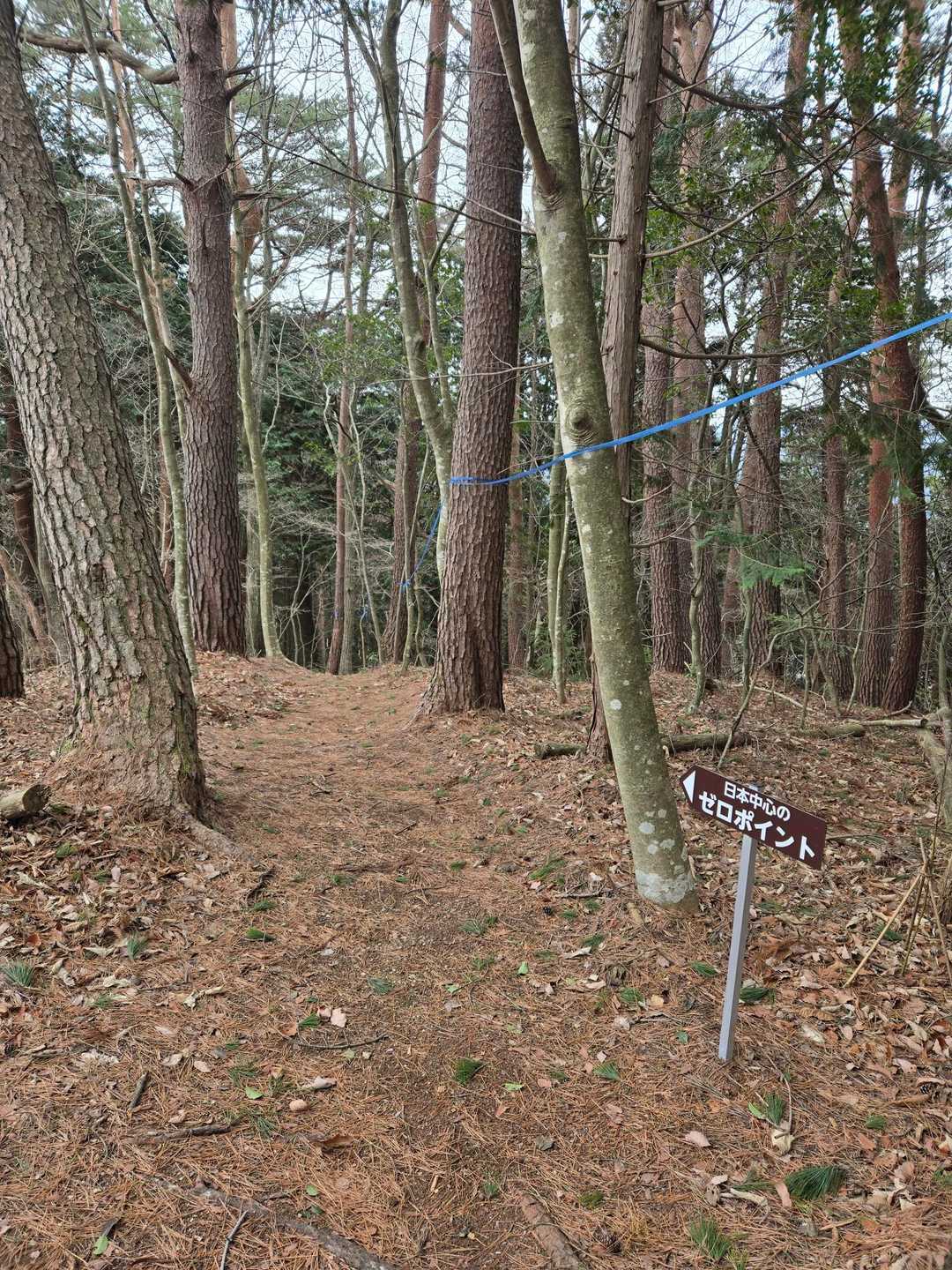 ゼロポイントまでは道標多数・踏み跡明瞭👍