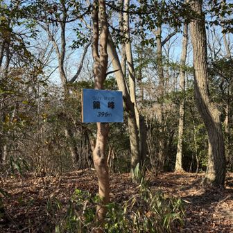 確かに峰になっていてピークと呼べるような場所に銀峰の看板が有ります。

でもここの標高はGPSで約360mです。
皆さんがなれ親しんだこの場所が銀峰でいいと思いますが標高は違うので『銀峰　標高360m』にすればいいと思うのです。

皆さんはどう思いますか？