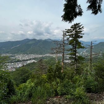 ここは青梅丘陵コースで1番眺望がありました
地元のおじさんと少しお話し