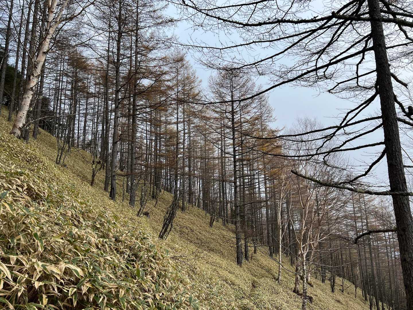 乾徳山登山口-乾徳山-笠盛山-黒金山-牛首のタル-黒金山登 周回コースの写真