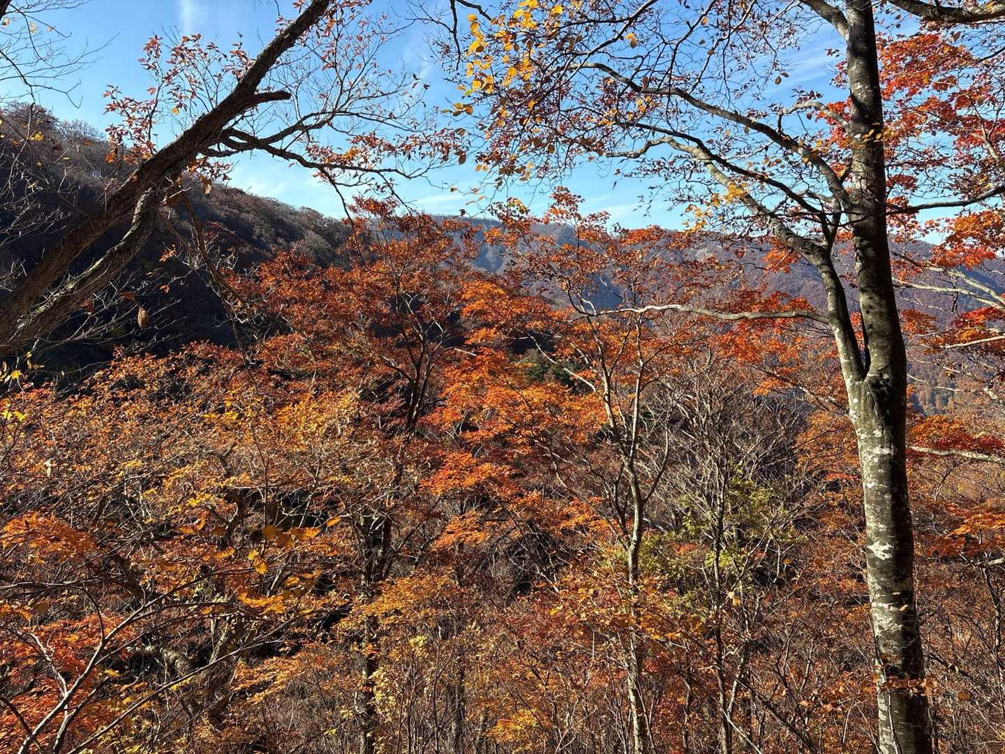 日本の美しさです。