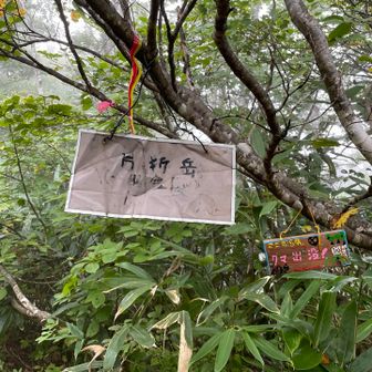 片折岳　登る時札に気づかなかった