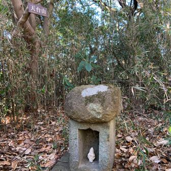 ちょこんと祠が現れて
ここが天台山でした。
