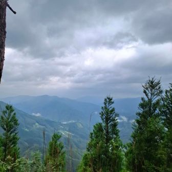 草木の合間から
諸塚山方面かな