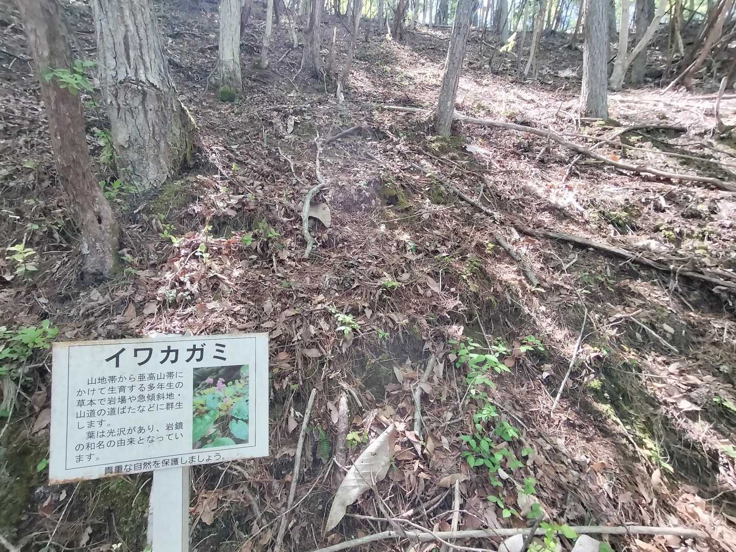 🪧看板のみ😢下山します