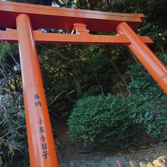 キョンキョンの⛩️