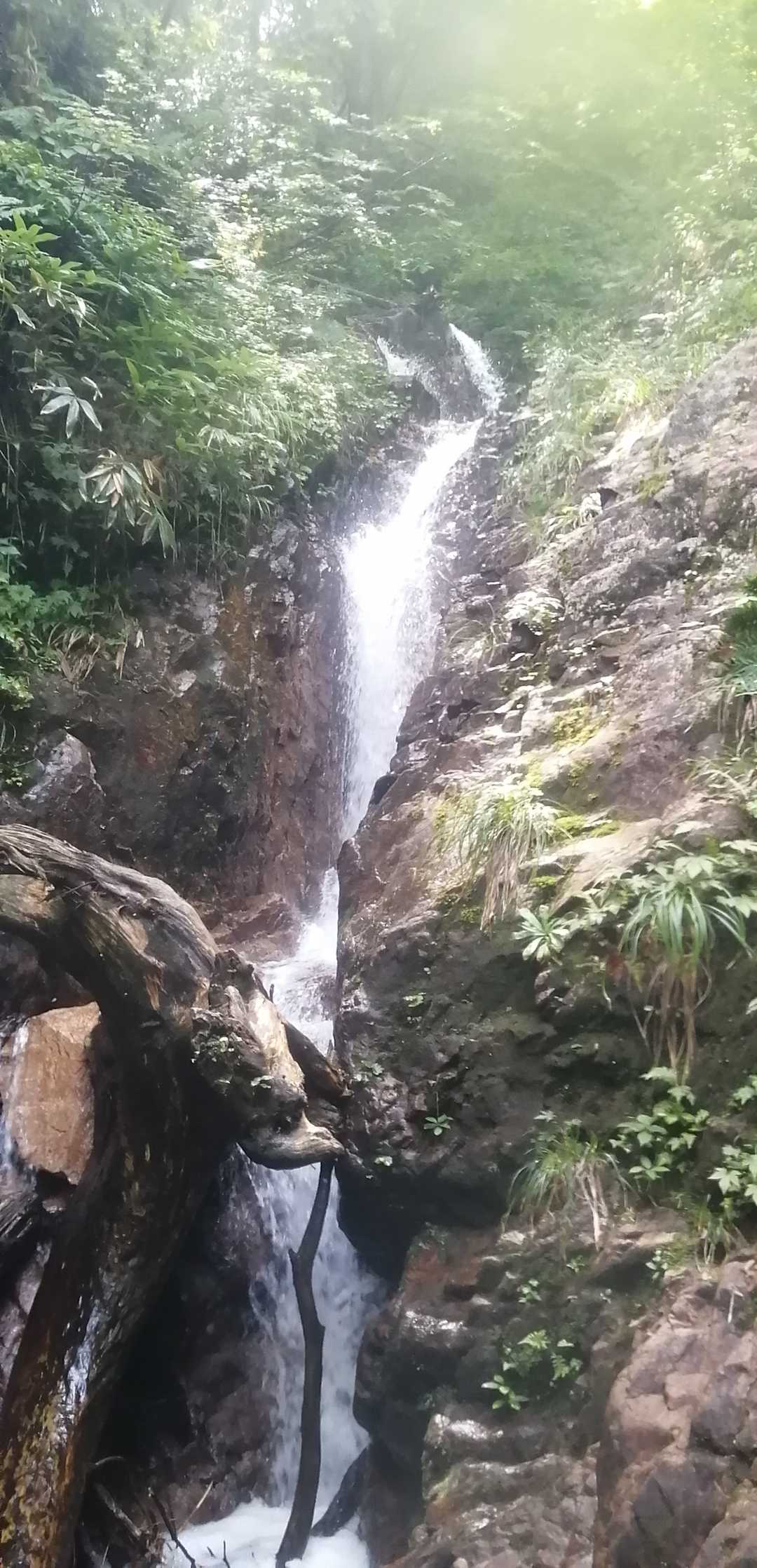赤坂山 周回コースの写真