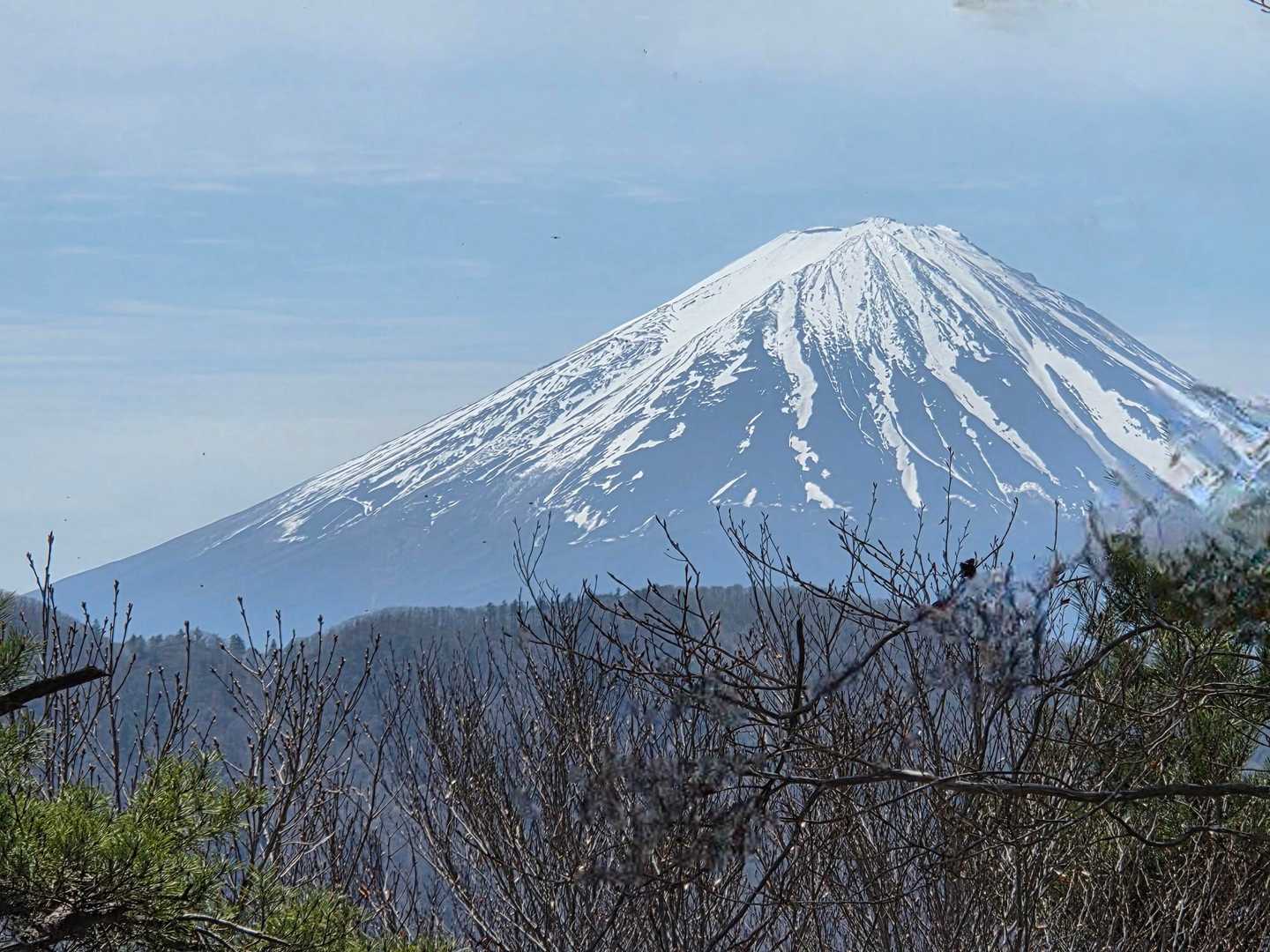 やっぱり日本一は素晴らしいね✨️