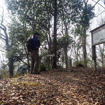 根来山(381.7m)｡
🎊登ったぞー＼(^o^)／