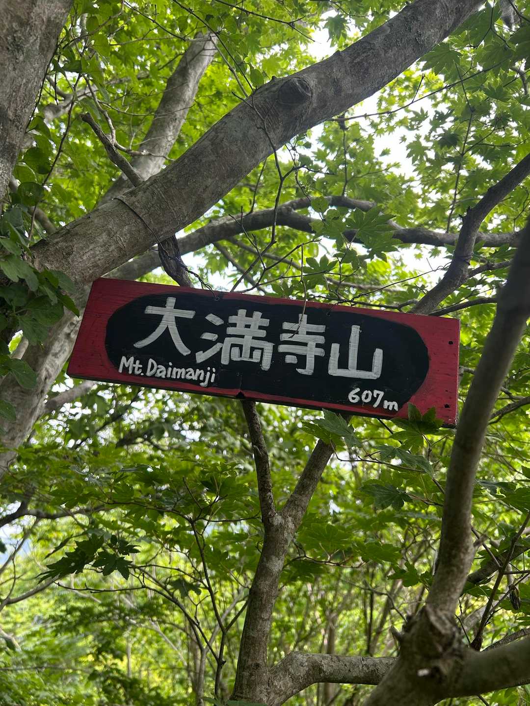 　　　大満寺山　607メートル