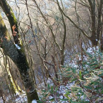 反対側は結構残雪が。