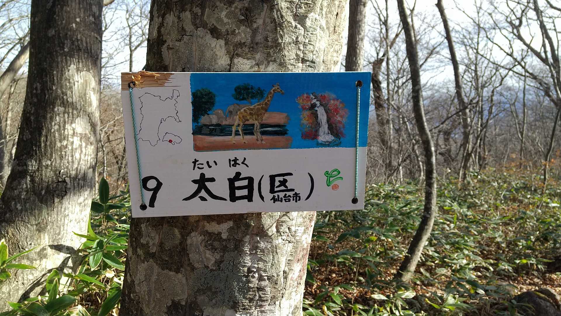 しりとりで楽しく過ごしました。
逆ルートだったので逆しりとり😅難しい🐱