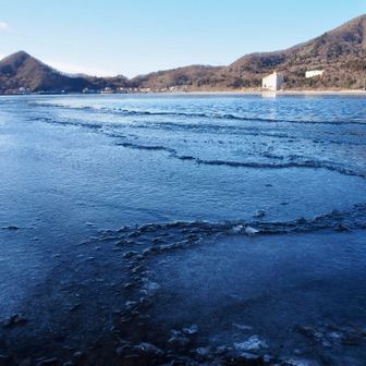 割れた氷が風に流されて、岸にぶつかる様子を見ることが出来ました〜😳