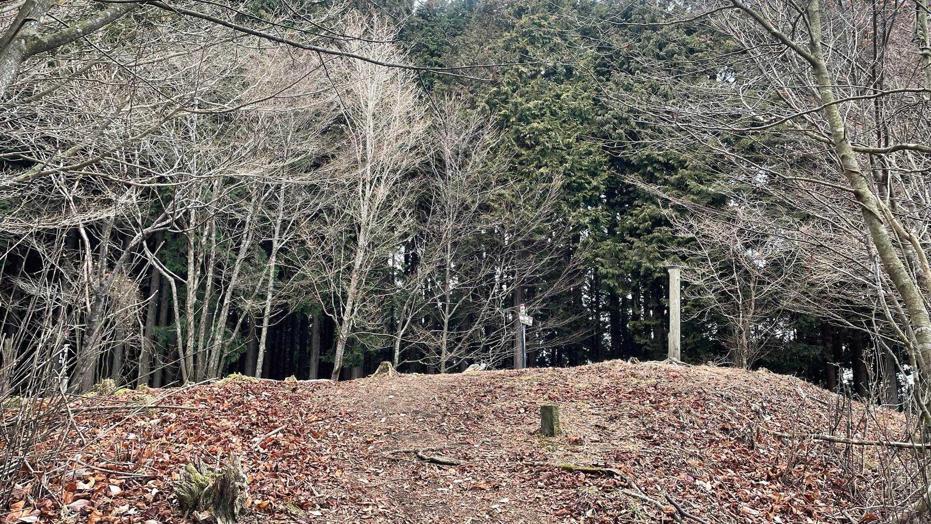 山頂見えた