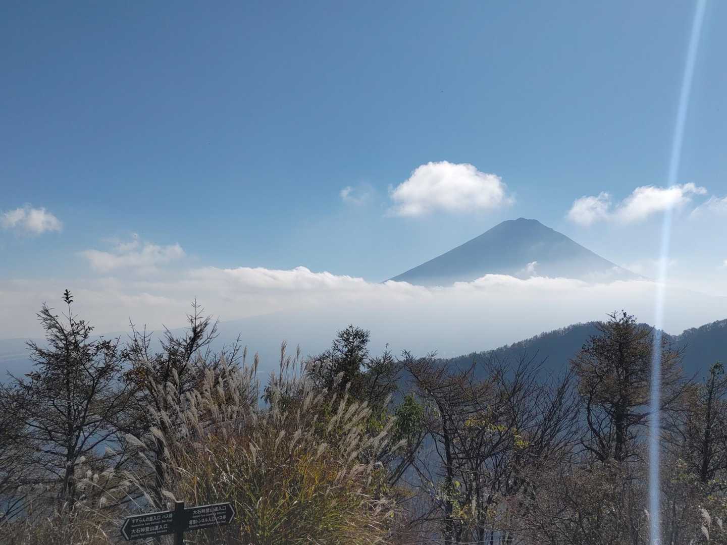 大石峠-大石峰山-金堀山-節刀ヶ岳 往復コースの写真