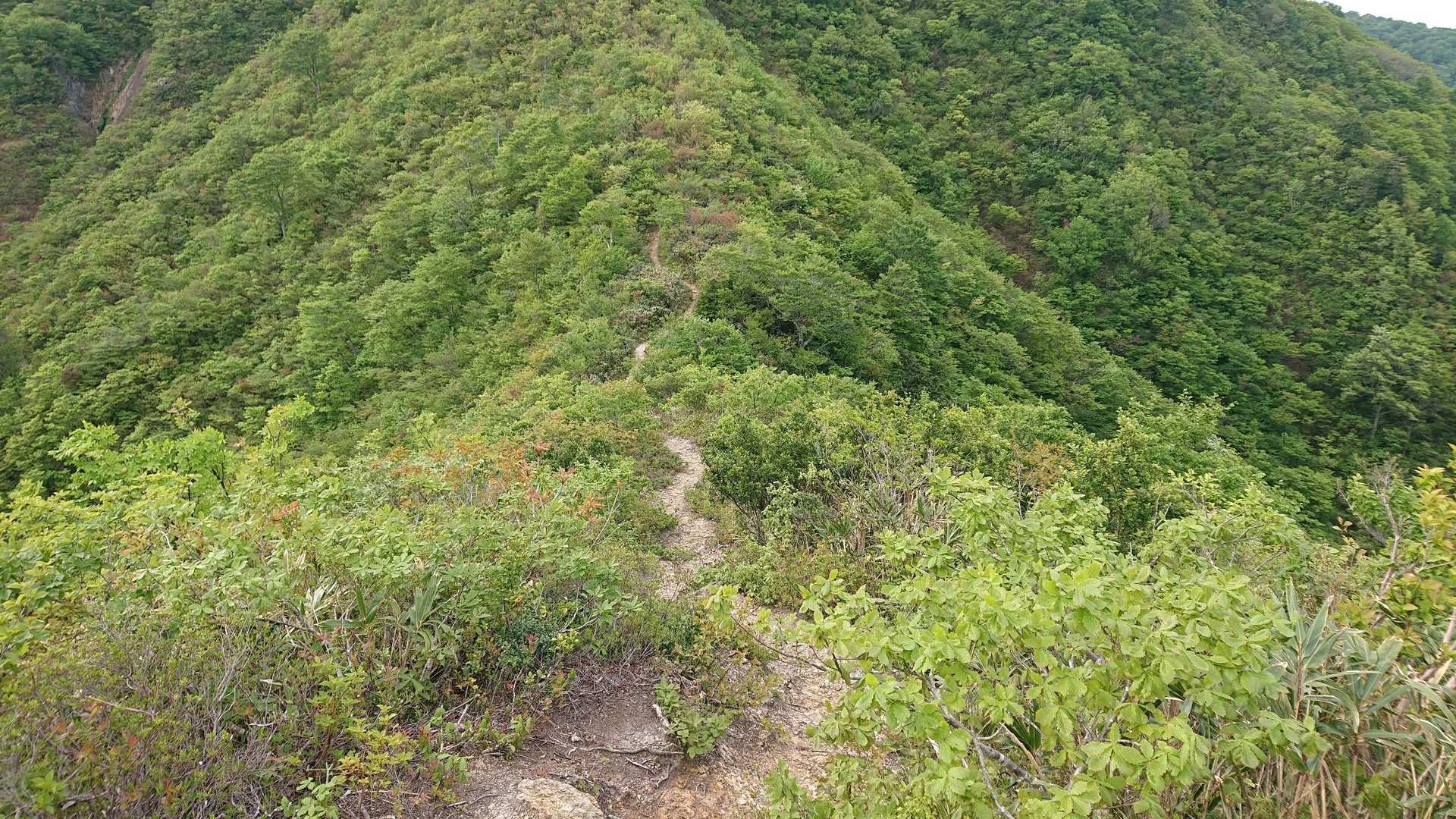 稜線の登山道。綺麗です。