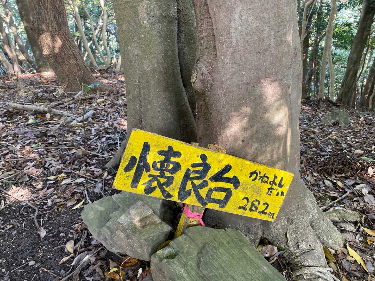 ふりがながありがたい！
読めんよ💦
かいりょうだい•••とか、勝手に言ってた💦