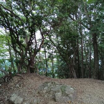 山頂から急傾斜を降りていく…
適当に休憩した場所がオキノ岩山というピークだった。