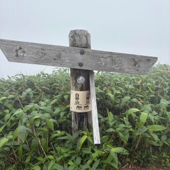 八間山へ向かうルートに入る