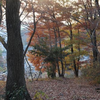 少し先に 展望の良い場所があるとのことで進みましたが 行き過ぎて、引き返します