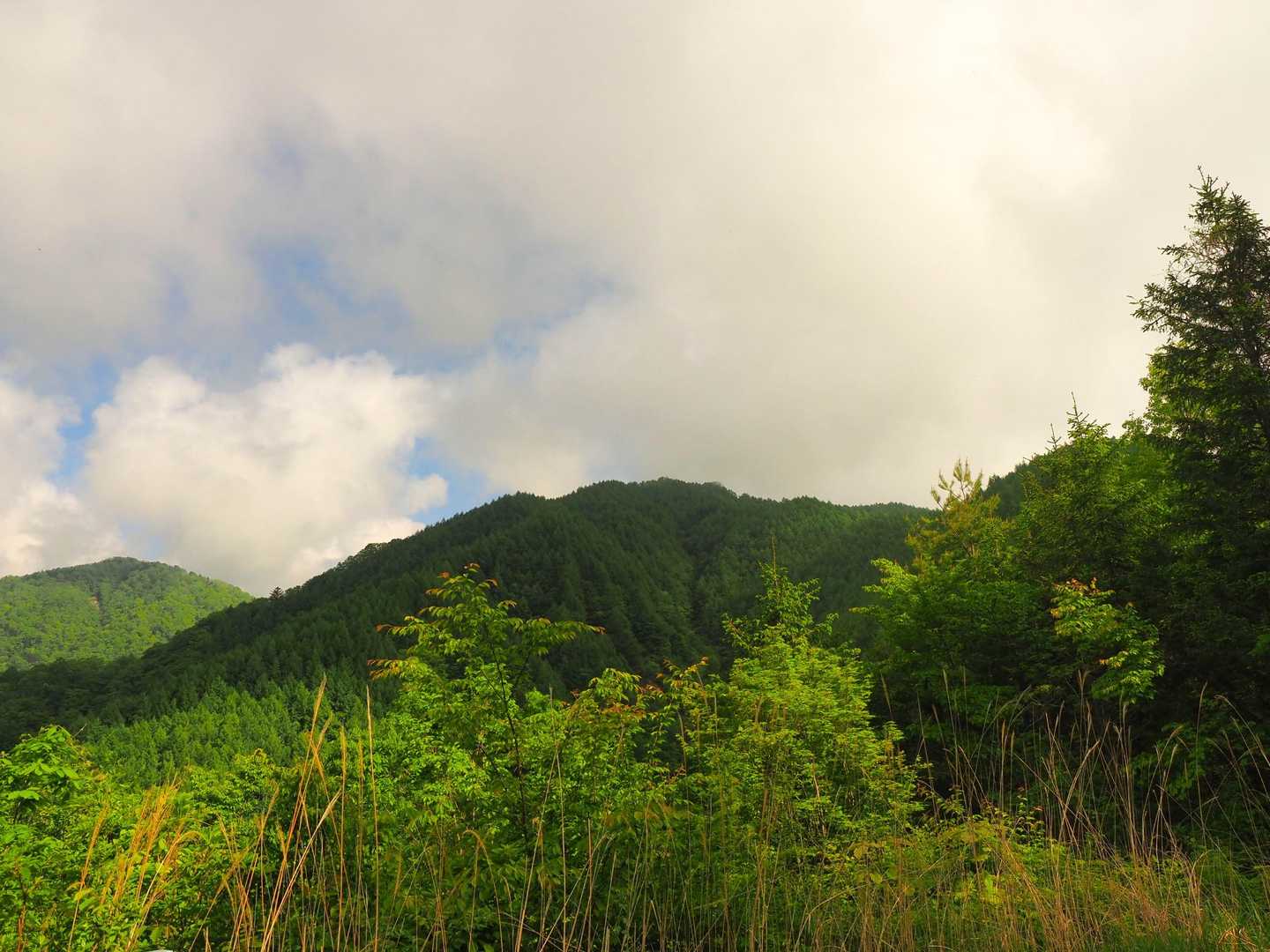 さっきまでいた傘山