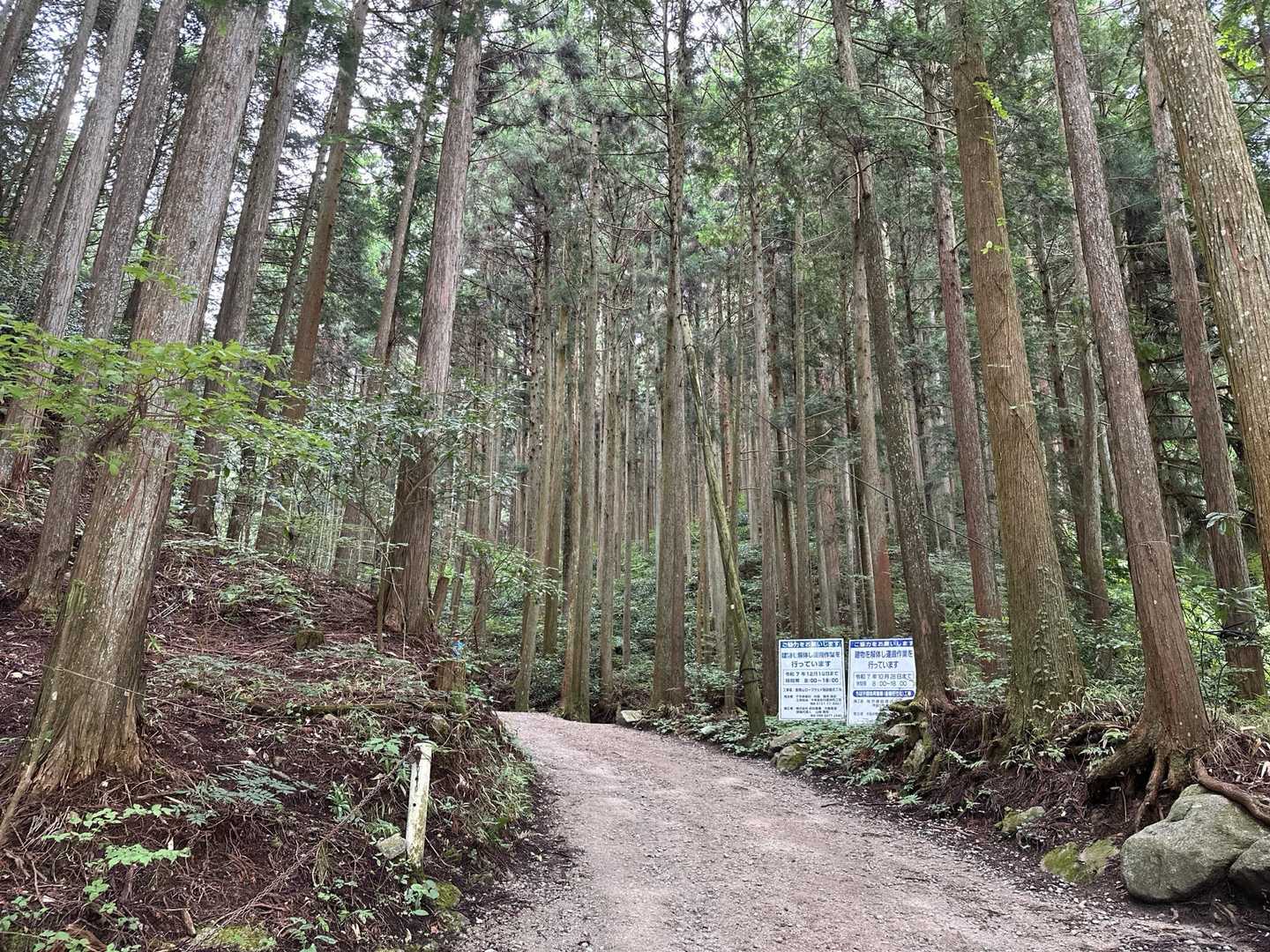 百ヶ辻から上がりました。