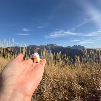 展望台でお昼ご飯🍙💓
からのオヤツ☕️‪‪ 𓈒𓏸
今日は全く寒くない👍
今年の干支に因んで🐴🏇🦄🐎🎠持参

