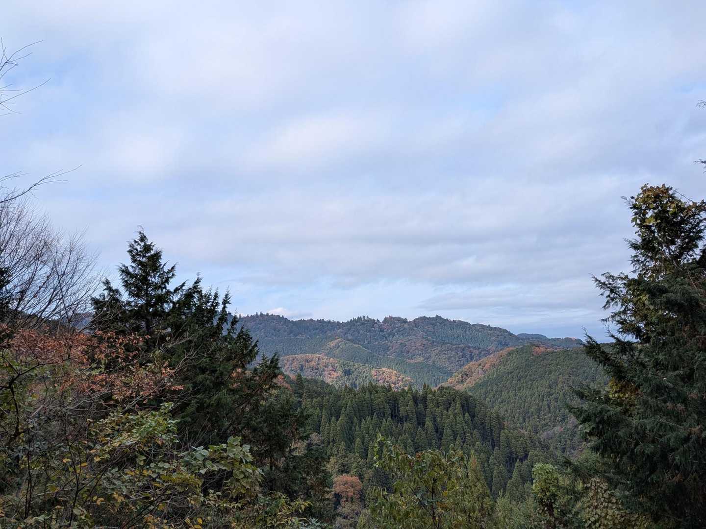 草戸峠から高尾山