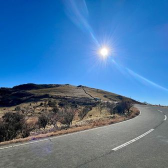 後ろを振り返ると奴がいる（達磨山）