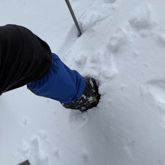 30センチあるかないか近く