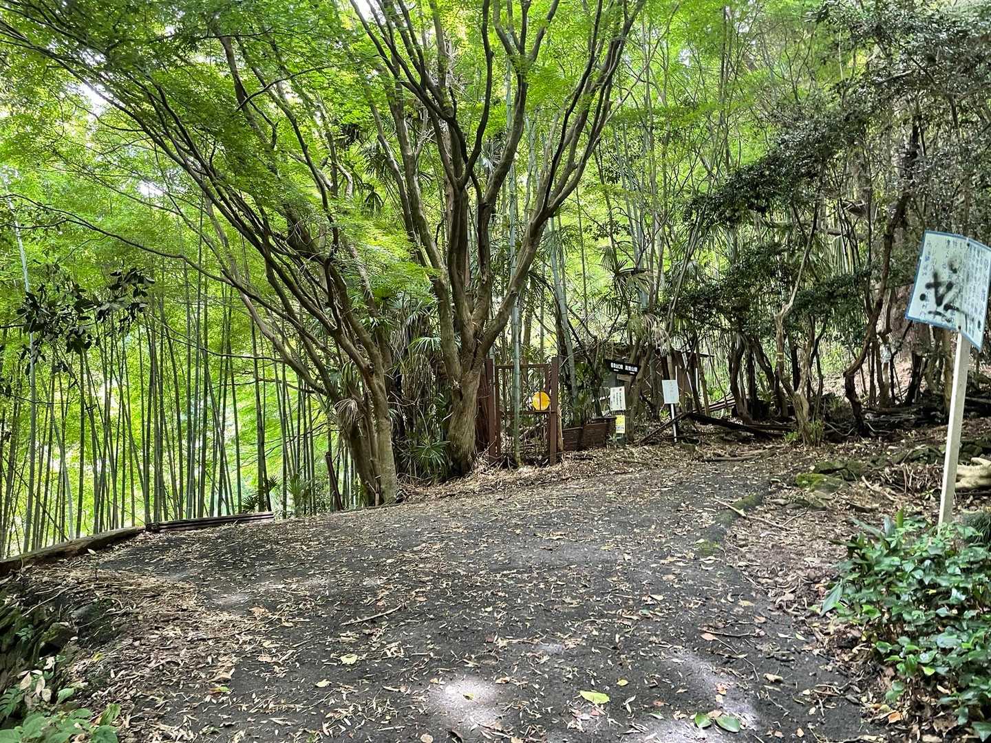 信貴山口駅-高安山 往復コースの写真