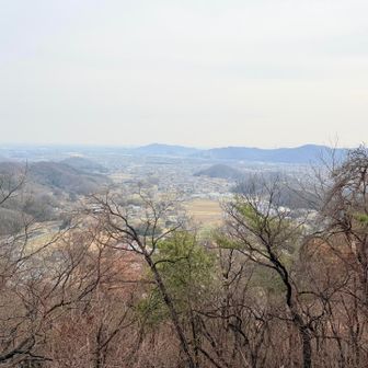 春霞の向こうに広がる街を眺めながら無事下山しました🌸