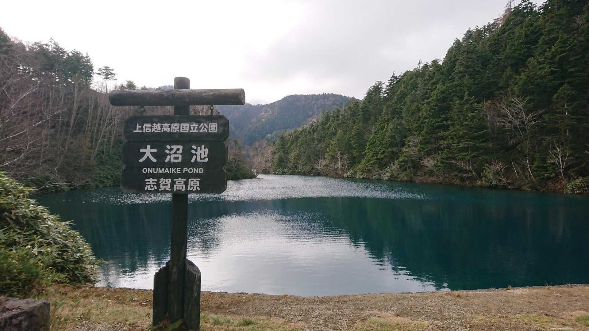 大沼池到着です。