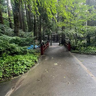 反対側には小さな鳥居
あの鳥居を左に行くとロープウェイの駅
帰りは右に向かって本殿にお参りする
朱色の鳥居からロープウェイの駅まではご親切にも無料マイクロバスに乗れる