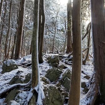 なんちゃって雪山を満喫