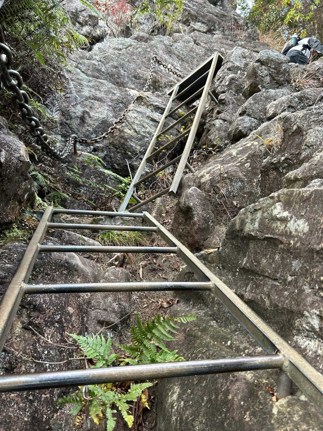 英山登山口-英山-本城岳-有田ダム登山口 周回コースの写真